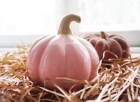 Image 3 of Interior elements: Pink decorative ceramic pumpkin for home