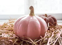 Image 2 of Interior elements: Pink decorative ceramic pumpkin for home