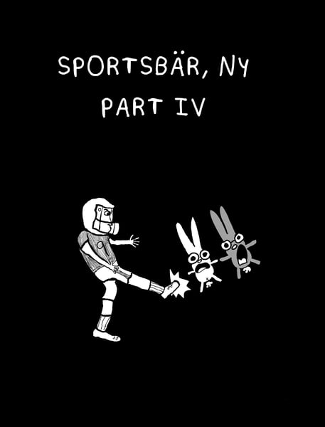 Image of Sportsbär, NY: Part IV