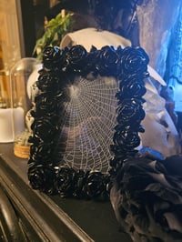 Image 1 of Black rose preserved web frame 