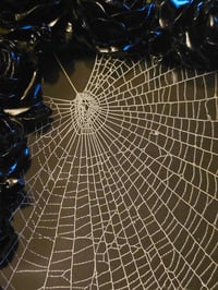 Image 5 of Black rose preserved web frame 