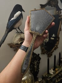 Image 1 of Beautiful Antique Hand mirror with Real Preserved Web on back & handles  - D