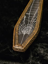 Image 6 of Beautiful Antique Hand mirror with Real Preserved Web on back & handles  - D