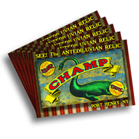 Sideshow Champ Postcard
