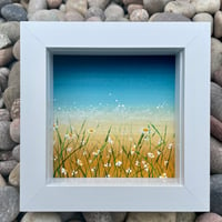 Image 2 of 'Beach Daisies'