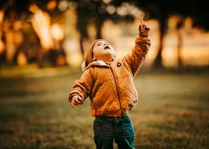 Image of Fall Mini Session - My Backyard