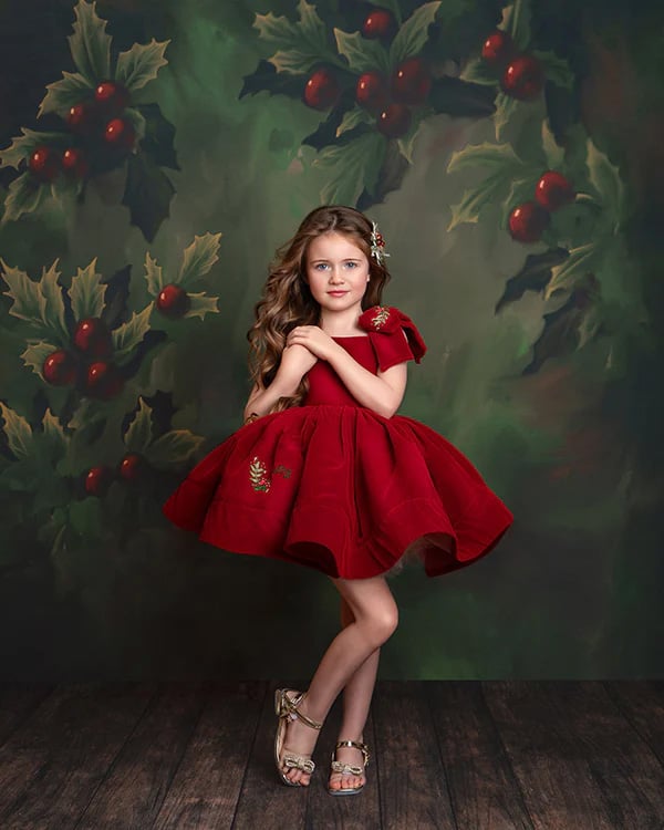 Image of 2024-  NOVEMBER 16th & 17th CHRISTMAS STUDIO MINI SESSION retainer