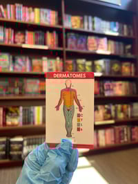 Image 1 of Neurology with Dermatomes 