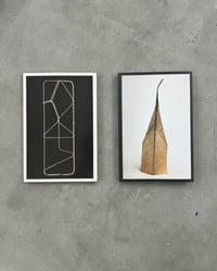 Image 1 of The Collections of Harry Smith [Two volume set] - Jason Fulford et al 