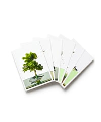 Image 4 of Migrations Postcard Set