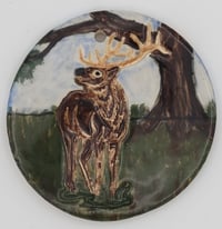 Elk in Summer