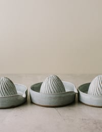 Citrus squeezer