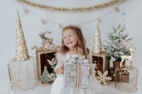 Image 1 of Studio Christmas Minis