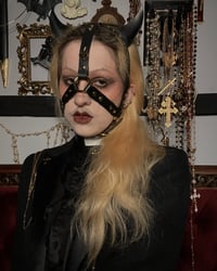 Image 1 of Daemonium Face Harness