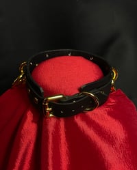 Image 2 of The Devils Due Gold
