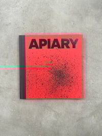 Image 1 of Apiary - Robin Friend