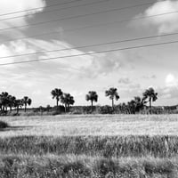 DISTANCE MAKES THE HEART GROW FONDER