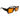 Orange Abyss