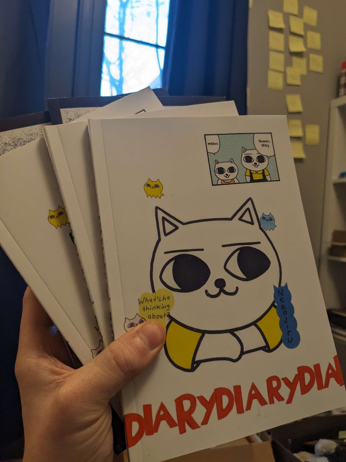 Image of "Jirujiru Diary" Nekojiru