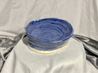 Image 1 of Raised Dish 5