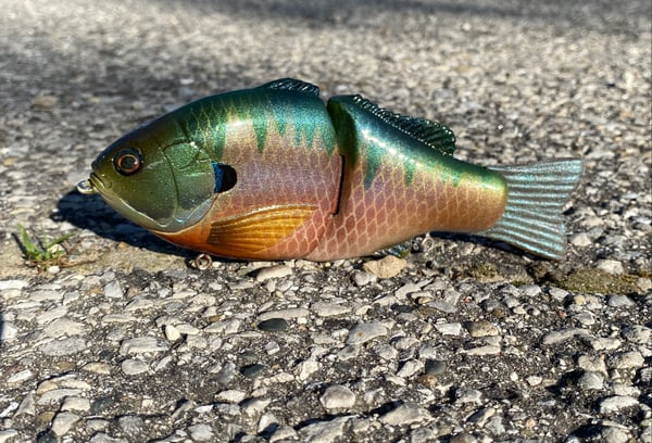Image of 6” Anne Xslowsink (Burugiru)