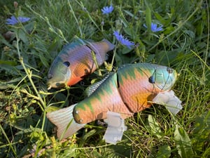 Image of 6” Anne Xslowsink (Burugiru)