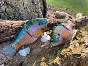 Image of 6” Anne Xslowsink (Burugiru)