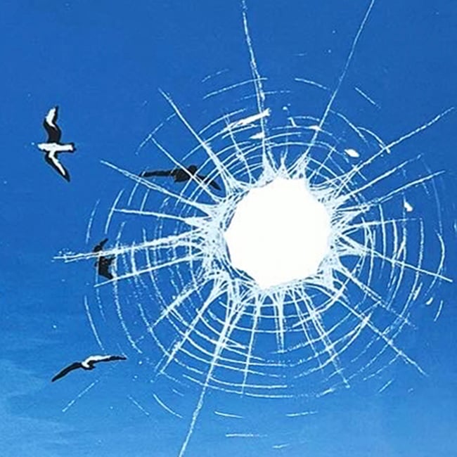 Tell the birds I'm going surfing