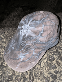 Image 2 of concrete xylem 