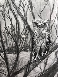 Image 3 of "Hoot" Forest girl and owl mixed media B&W painting 