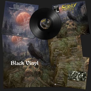 Image of Sentry "Sentry" LP