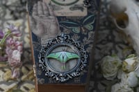 Image 5 of Wooden Coffin Mixed Media Stash Box / Trinket Box - "The World" Tarot Card