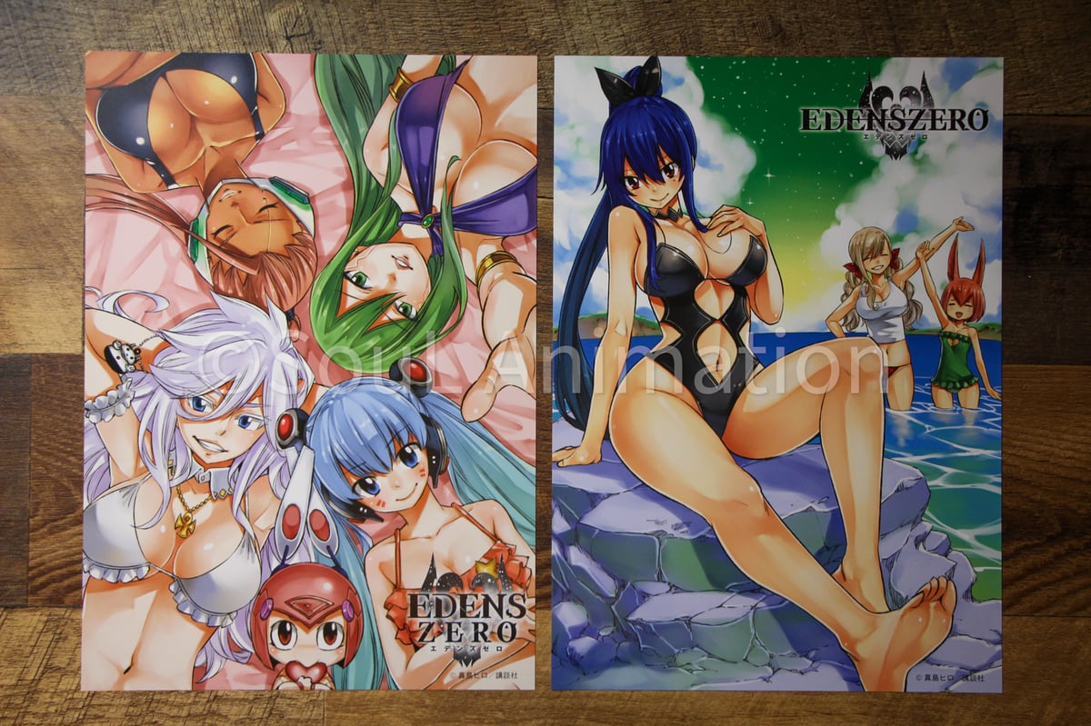 Image of EZ GIRLS - Edens Zero Girls Bikini Art Posters (2)