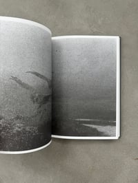 Image 8 of Landmasses and Railways - Bertrand Fleuret