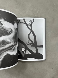 Image 10 of Landmasses and Railways - Bertrand Fleuret
