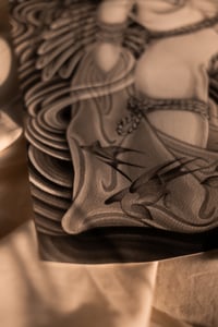 Image 4 of BIRD CAGE (PRINTS)