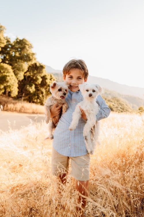 Image of Palo Alto Hills Sunset Sessions