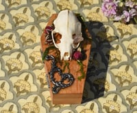 Image 5 of Wooden Coffin Real Minx Skull Mixed Media Stash Box / Trinket Box