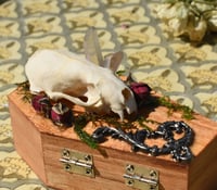 Image 6 of Wooden Coffin Real Minx Skull Mixed Media Stash Box / Trinket Box