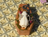 Image 7 of Wooden Coffin Real Minx Skull Mixed Media Stash Box / Trinket Box