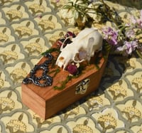 Image 3 of Wooden Coffin Real Minx Skull Mixed Media Stash Box / Trinket Box