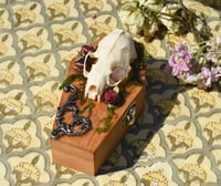 Image 1 of Wooden Coffin Real Minx Skull Mixed Media Stash Box / Trinket Box