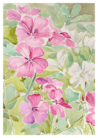 Image 1 of 'Mallow magic' print