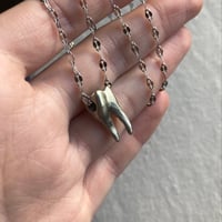 Image 3 of Tooth Necklace