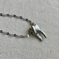 Image 1 of Tooth Necklace