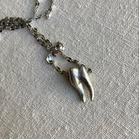Image 4 of Tooth Necklace