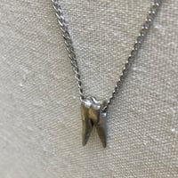 Image 3 of Tooth Necklace II