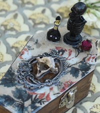 Image 3 of Wooden Coffin Vertebrea Bone Mixed Media Stash Box / Trinket Box