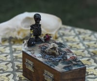 Image 4 of Wooden Coffin Vertebrea Bone Mixed Media Stash Box / Trinket Box
