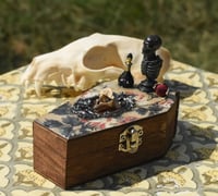 Image 8 of Wooden Coffin Vertebrea Bone Mixed Media Stash Box / Trinket Box